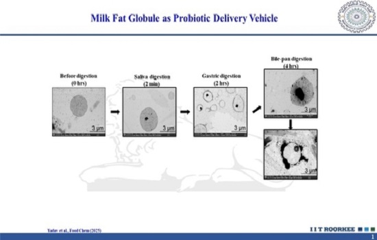 There is an image here